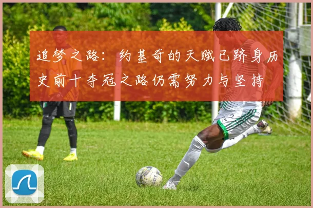 追梦之路：约基奇的天赋已跻身历史前十夺冠之路仍需努力与坚持