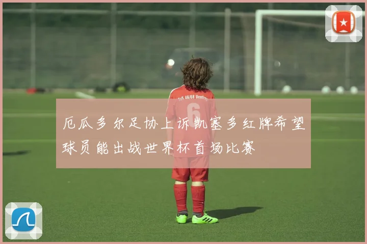 厄瓜多尔足协上诉凯塞多红牌希望球员能出战世界杯首场比赛
