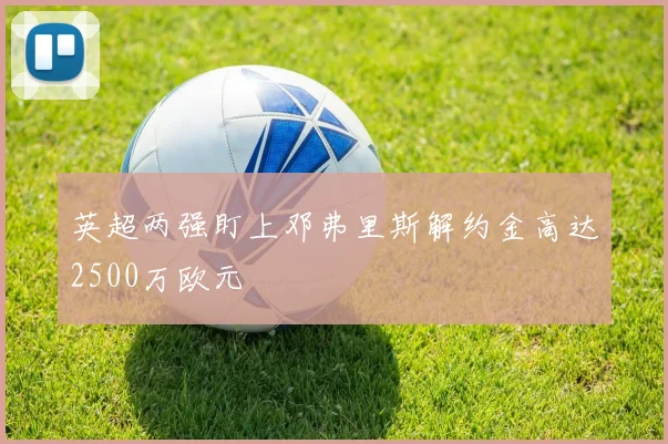 英超两强盯上邓弗里斯解约金高达2500万欧元