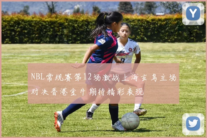 NBL常规赛第12场激战上海玄鸟主场对决香港金牛期待精彩表现