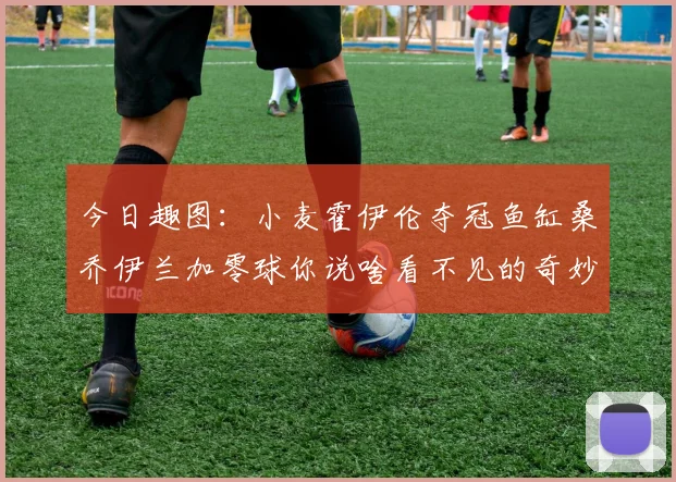 今日趣图：小麦霍伊伦夺冠鱼缸桑乔伊兰加零球你说啥看不见的奇妙瞬间