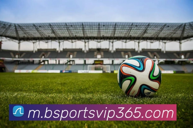 b体育平台生态图